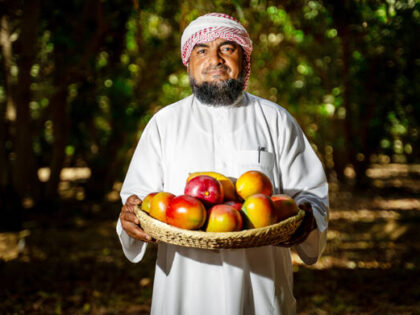 Saudi Farmer Expands Mango Orchard to 1,700 Trees